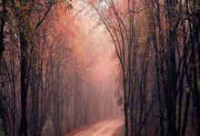 亿万28官网：[CBA]5人得分上双 上海艰难战胜宁波.