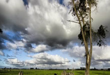 [英超]“救火教练”没能“救火” 西汉姆联负于切尔西.