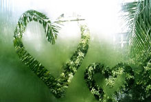 100米蝶泳第五！张雨霏社媒：很开心再次回到泳池，我想去奥运会.