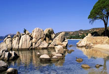 亿万28官网：[天下足球]传奇继续 西蒙尼续约马竞.